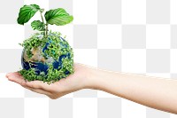 Png sustainable living environmentalist hand holding green earth