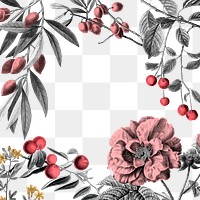 Frame png rose floral and fruits pink elegant illustration