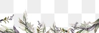 PNG botanical border design element