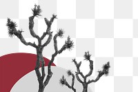 PNG bare tree remixed media design element