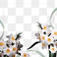 Png Easter border with daffodil on transparent background