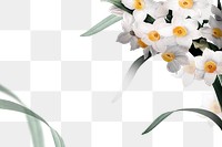 Png Easter frame with daffodil border transparent background