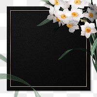 Png Easter frame with daffodil border transparent background