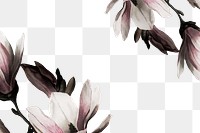 Png magnolia border transparent background