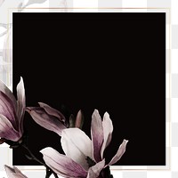 Png gold frame with magnolia border transparent background