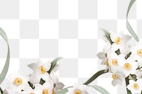 Png Easter border with daffodil on transparent background