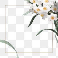 Png wedding frame with daffodil border transparent background