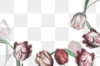 Png tulip border transparent background