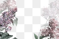 Png lilac border transparent background