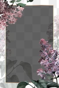 Png gold frame with lilac border transparent background