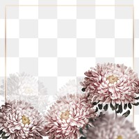 Png wedding frame with aster border transparent background