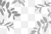 Png leaves shadow background, botanical shadow in transparent design