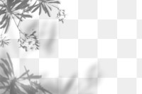 Png plant shadow background, botanical shadow in transparent design
