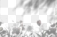 Png plant shadow background, botanical shadow in transparent design