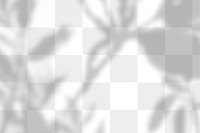 Png plant shadow background, botanical shadow in transparent design