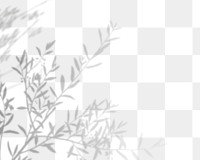 Png plant shadow background, botanical shadow in transparent design