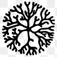 Minimal icon png illustration of coral