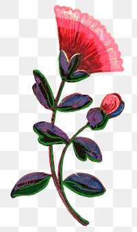Mexican ethnic flower png sticker illustration
