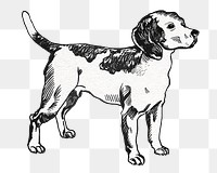 Png beagle dog sticker in vintage style