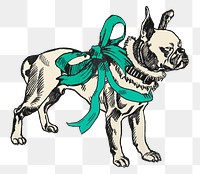 Birthday png dog sticker bulldog with cute ribbon/martini glasses, remixed from artworks by Moriz Jung