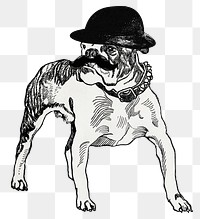 Pit-bull png dog sticker in bowl hat, remixed from artworks by Moriz Jung