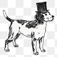 Beagle png dog sticker in vintage top hat