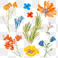 Spring flower png sticker illustration set, remixed from public domain artworks