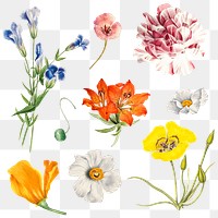 Spring flower png sticker illustration set, remixed from public domain artworks