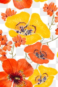 Png vintage floral pattern of mariposa lily flower transparent background, remixed from public domain artworks