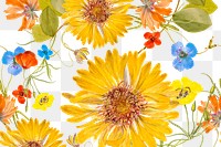 Png spring floral pattern transparent background, remixed from public domain artworks