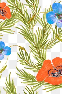 Png vintage floral pattern of mariposa lily flower transparent background, remixed from public domain artworks