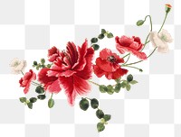 Spring flower png sticker illustration, remixed from public domain artworks