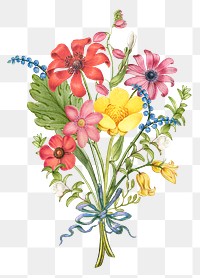 Daisy png flower in colorful vintage hand drawn graphic