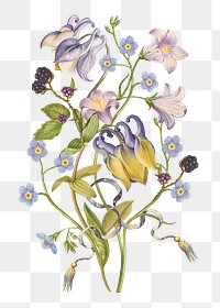 Columbine png flower in purple vintage hand drawn graphic