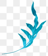 Blue arrowhead fern leaf png sticker