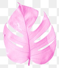 Pink monstera leaf png sticker