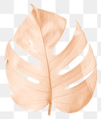 Orange monstera leaf png sticker