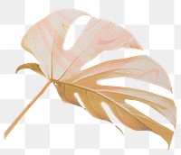 Gold monstera leaf png sticker