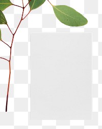 Minimal paper mockup png stationery with leaf branch