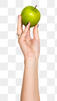 Apple png in hand sticker on transparent background