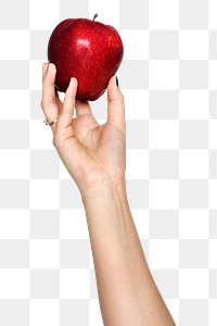 Apple png in hand sticker on transparent background