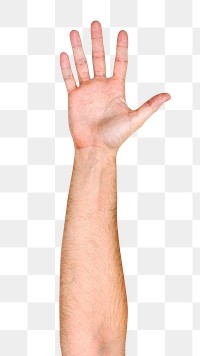 Png five fingers up hand gesture sticker, sign language on transparent background