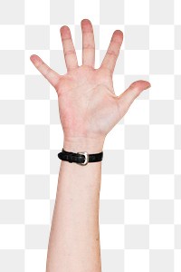 Png five fingers up hand gesture sticker, sign language on transparent background