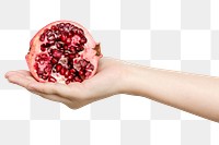 Hand holding a fresh cut pomegranate mockup