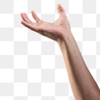 Empty hand on transparent png background