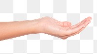 Cupped hand gesture png mockup