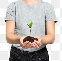 Hands cupping plant png mockup reforestation