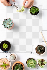 Png poster mockup on wooden table with plants flat lay