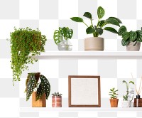 Png plant pots mockup on white shelf home decor