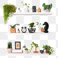 Png plant pots mockup on white shelf home decor